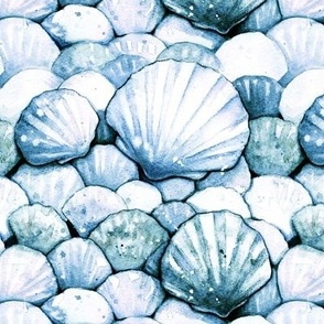 Scallop Seashells - blue