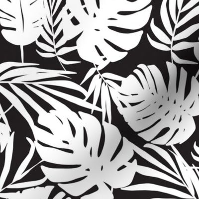 Urban Jungle - Tropical Leaves Black And White 
