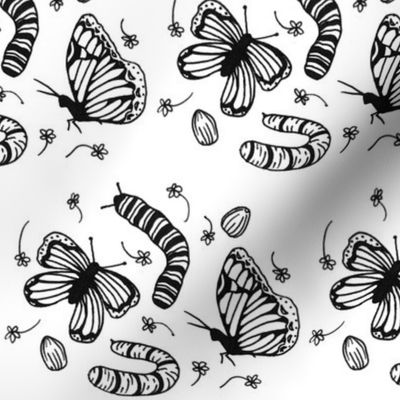 The Flutter Cycle- Black & White