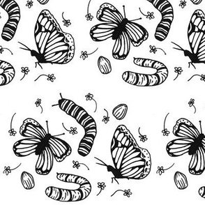 The Flutter Cycle- Black & White