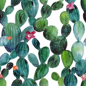 Cactuses green wall small size