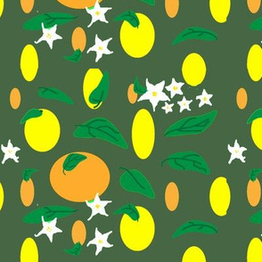 Citrus_fruit_and_flowers_on_dark_green