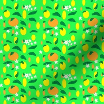 Citrus_fruit_and_flowers