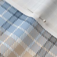 06622553 : tartan : synergy0014