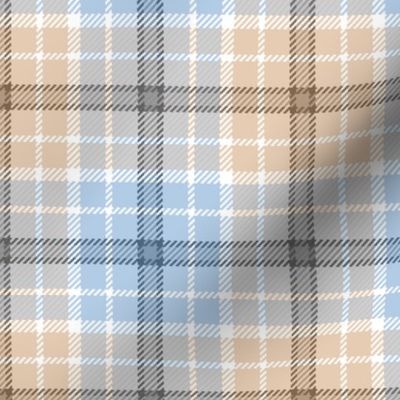 06622553 : tartan : synergy0014