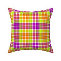 06622555 : tartan : synergy0016