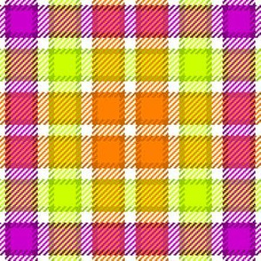 06622555 : tartan : synergy0016