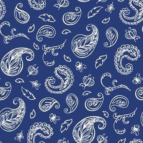 Paisley blue and white hand draw