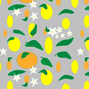 Citrus_fruit_and_flowers_on_grey