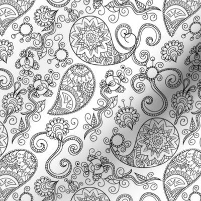 Black and white Paisley