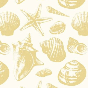 Seashells - Sand