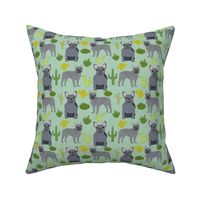 frenchie fabric french bulldog and cactus design - mint