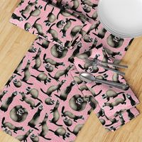 A Busyness of Sable Ferrets on Pink