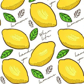 When Life Hands You Lemons 