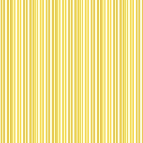 Lemons small stripe 