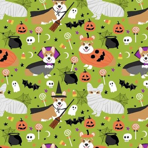 Corgi halloween costumes mummy vampire ghost just dog fabric bright  green