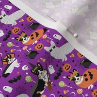 Tri-Colored Corgi halloween costumes fabric  mummy vampire ghost just dog fabric (smaller version)