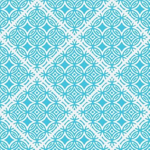 Lattice blue and white for collection
