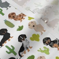 dachshund dog fabric dogs and cactus design - white