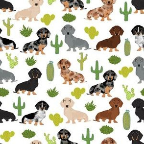 dachshund dog fabric dogs and cactus design - white