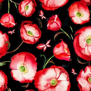Red_Poppies