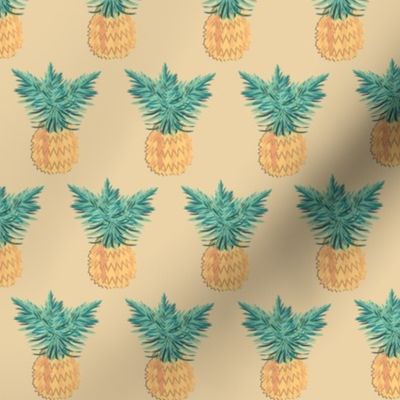 Sand Pineapple 