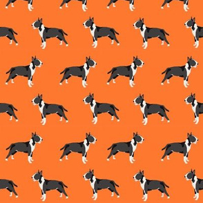 Bull Terrier standing simple dog pattern orange