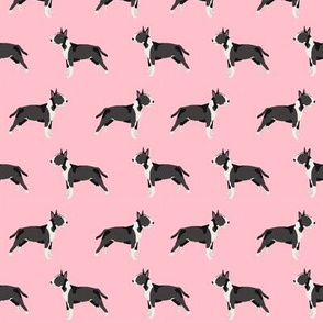 Bull Terrier standing simple dog pattern pink