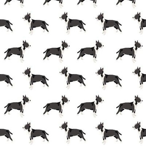 Bull Terrier standing simple dog pattern white