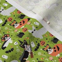 TriColored Corgi halloween costumes cute dog fabric 