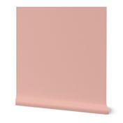 Solid Blush Pink