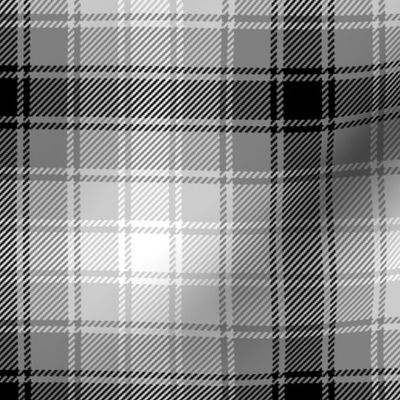 06637649 : tartan : greyscale