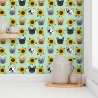 french bulldog fabric cute frenchies and sunflowers design sunflower fabric - mint