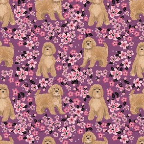 Cavoodle cherry blossom spring floral cute cavapoo pattern amethyst