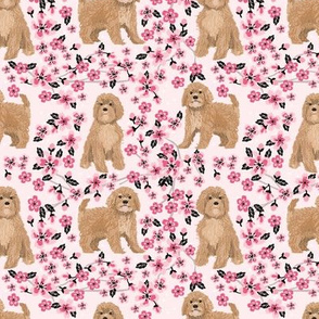 Cavoodle cherry blossom spring floral cute cavapoo pattern pink