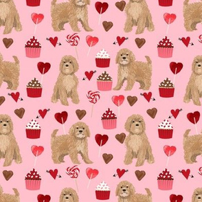 Cavoodlevalentines day cute cavapoo pattern pink