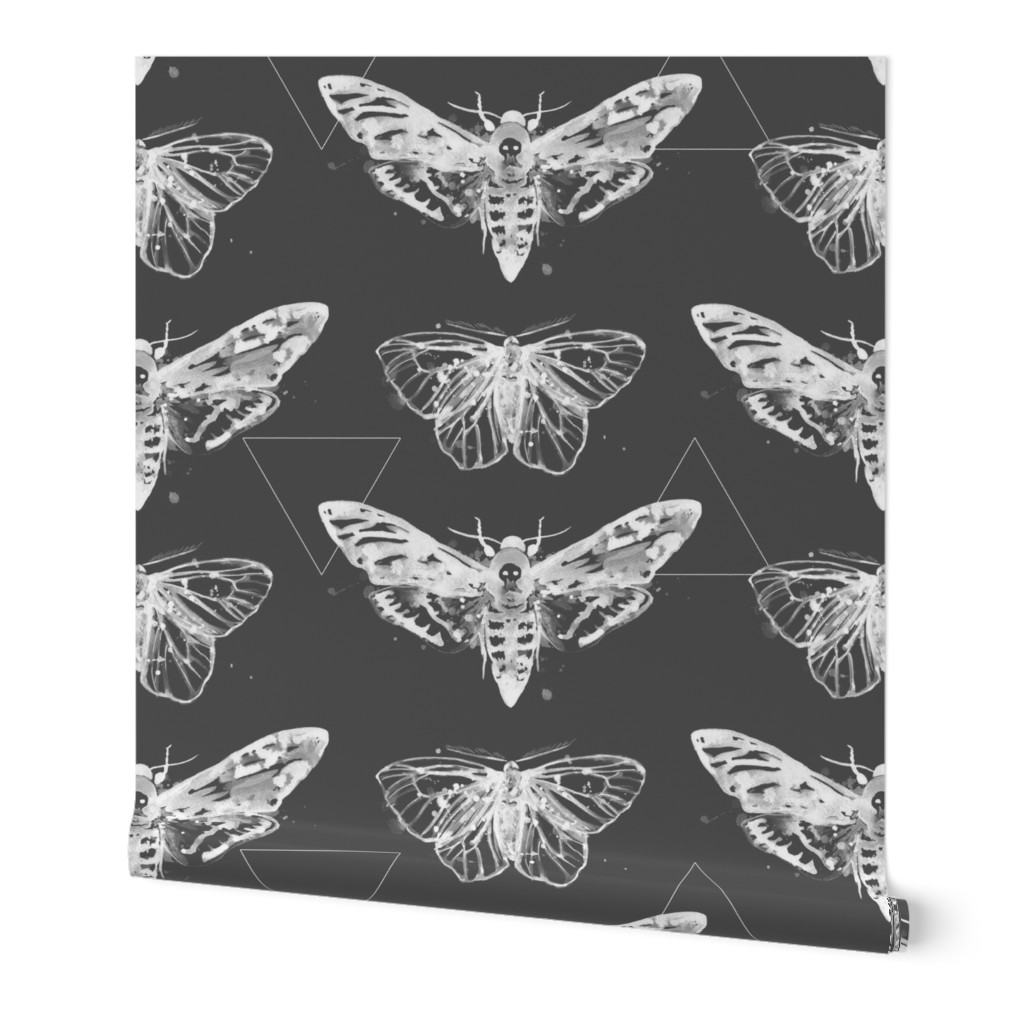 Geometric Moths - inverted white on charcoal gray