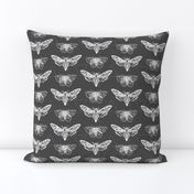 Geometric Moths - inverted white on charcoal gray