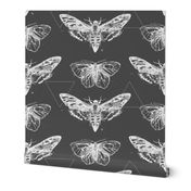 Geometric Moths - inverted white on charcoal gray