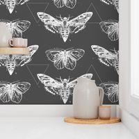 Geometric Moths - inverted white on charcoal gray