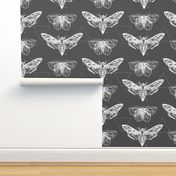 Geometric Moths - inverted white on charcoal gray