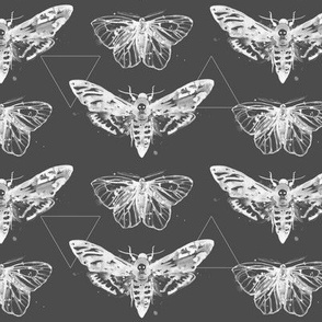 Geometric Moths - inverted white on charcoal gray