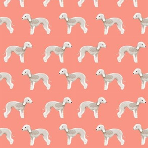 bedlington terrier fabric  dogs pet design - coral