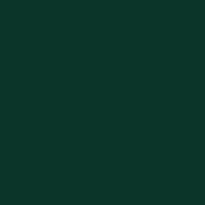 Solid Dark Green (#0A3528)