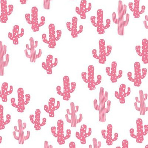 Pink cactus raw summer garden botanical cacti design