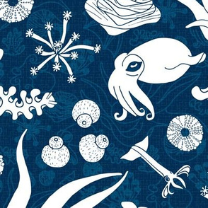 Cephalopods: Bg Blue
