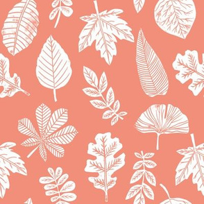 Leaves botanical nature walk autumn fall spring summer pattern coral