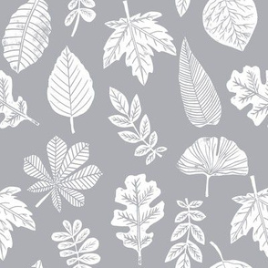 Leaves botanical nature walk autumn fall spring summer pattern grey