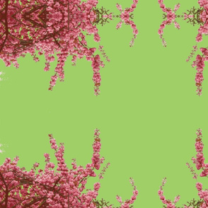 Cherry blossom pink-green