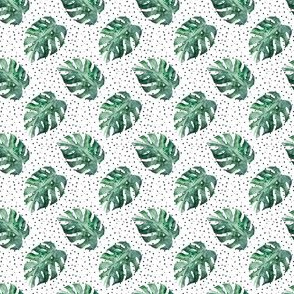 1.5" Monstera Tropical Leaves